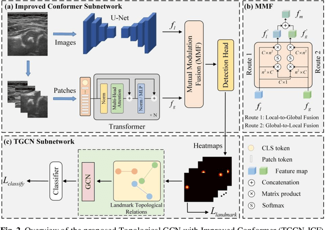 Figure 3 for Topological GCN for Improving Detection of Hip Landmarks from B-Mode Ultrasound Images