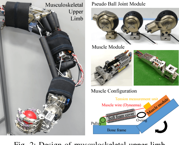 Figure 2 for TWIMP: Two-Wheel Inverted Musculoskeletal Pendulum as a Learning Control Platform in the Real World with Environmental Physical Contact