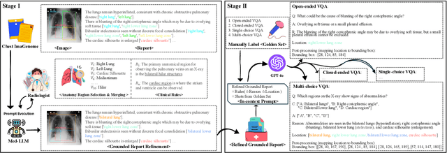 Figure 3 for GEMeX: A Large-Scale, Groundable, and Explainable Medical VQA Benchmark for Chest X-ray Diagnosis