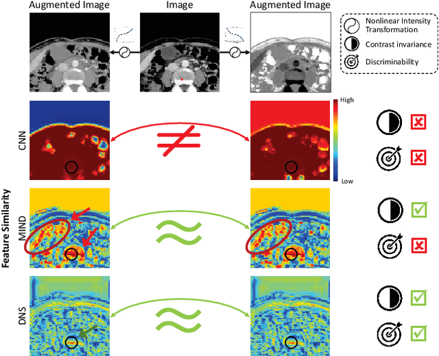 Figure 1 for Modality-Agnostic Structural Image Representation Learning for Deformable Multi-Modality Medical Image Registration