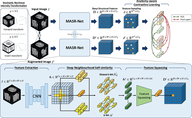 Figure 3 for Modality-Agnostic Structural Image Representation Learning for Deformable Multi-Modality Medical Image Registration