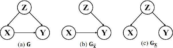 Figure 4 for Caformer: Rethinking Time Series Analysis from Causal Perspective