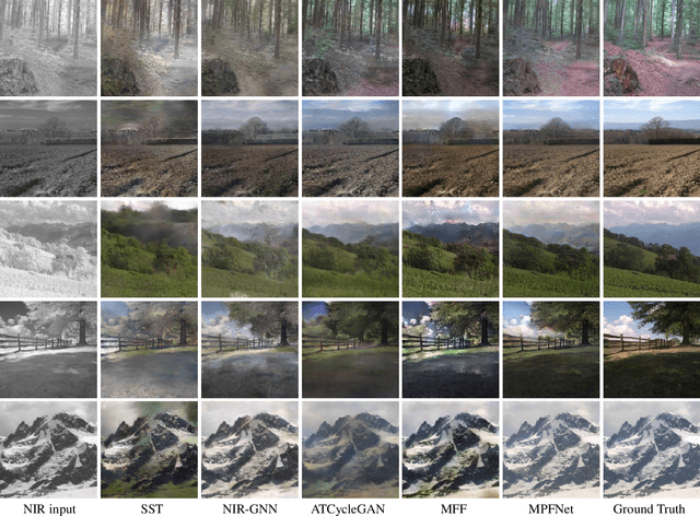 Figure 3 for Multi-scale Progressive Feature Embedding for Accurate NIR-to-RGB Spectral Domain Translation