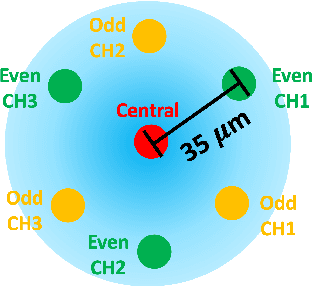 Figure 3 for Optical Fiber-Based Needle Shape Sensing in Real Tissue: Single Core vs. Multicore Approaches