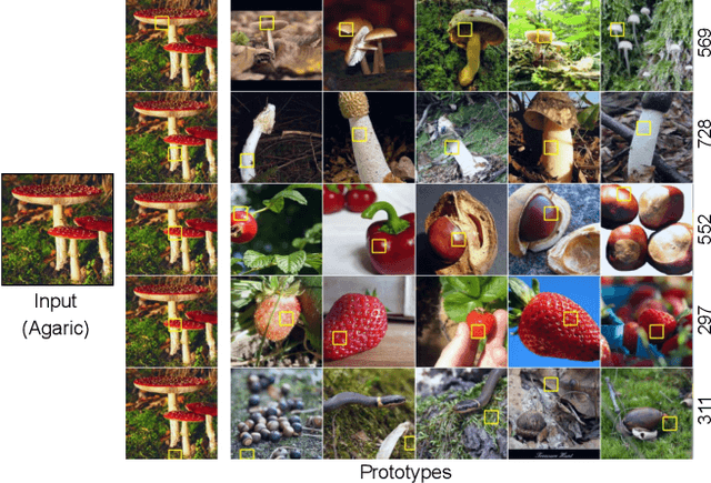 Figure 1 for InfoDisent: Explainability of Image Classification Models by Information Disentanglement