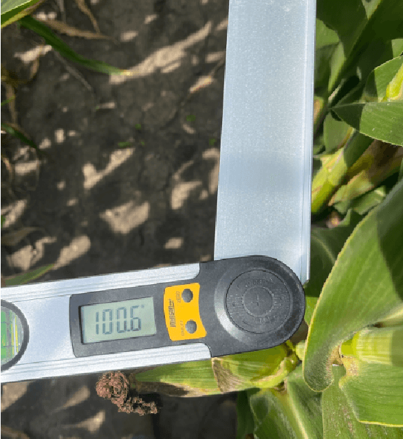 Figure 2 for Corn Ear Detection and Orientation Estimation Using Deep Learning