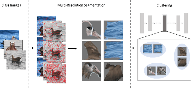 Figure 3 for Automatic Concept Embedding Model (ACEM): No train-time concepts, No issue!