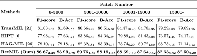 Figure 4 for RetMIL: Retentive Multiple Instance Learning for Histopathological Whole Slide Image Classification