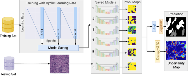 Figure 3 for Multimodal Posterior Sampling-based Uncertainty in PD-L1 Segmentation from H&E Images