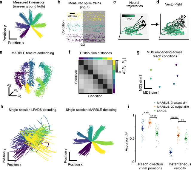 Figure 4 for Interpretable statistical representations of neural population dynamics and geometry