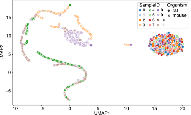 Figure 3 for Single-neuron deep generative model uncovers underlying physics of neuronal activity in Ca imaging data