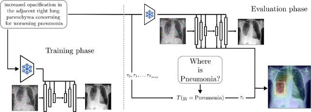 Figure 1 for Pay Attention: Accuracy Versus Interpretability Trade-off in Fine-tuned Diffusion Models