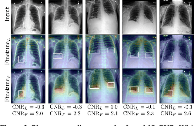Figure 3 for Pay Attention: Accuracy Versus Interpretability Trade-off in Fine-tuned Diffusion Models