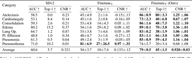 Figure 2 for Pay Attention: Accuracy Versus Interpretability Trade-off in Fine-tuned Diffusion Models