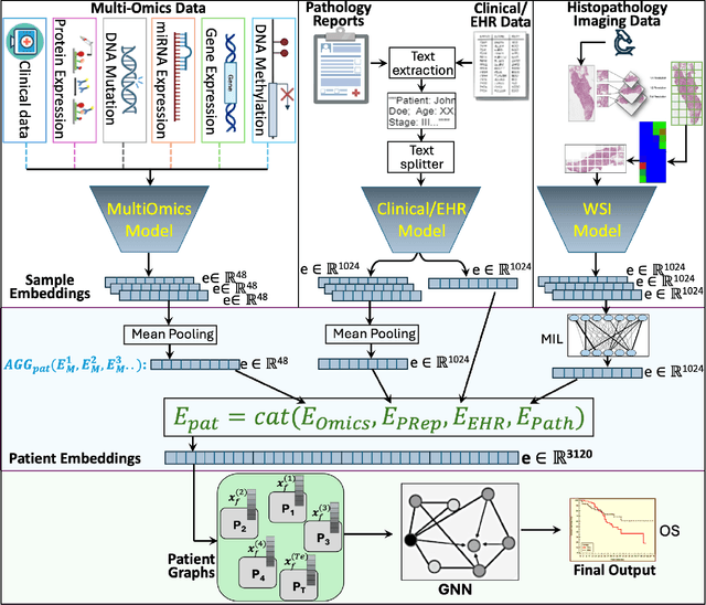 Figure 1 for Embedding-based Multimodal Learning on Pan-Squamous Cell Carcinomas for Improved Survival Outcomes