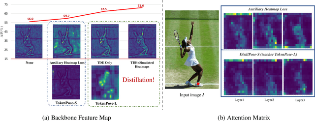 Figure 4 for DistilPose: Tokenized Pose Regression with Heatmap Distillation