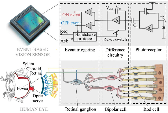 Figure 1 for Research, Applications and Prospects of Event-Based Pedestrian Detection: A Survey