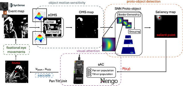 Figure 1 for Wandering around: A bioinspired approach to visual attention through object motion sensitivity