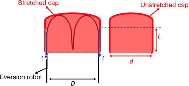 Figure 3 for Soft Cap for Eversion Robots