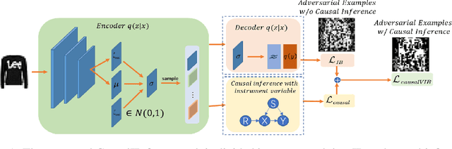 Figure 1 for Causal Information Bottleneck Boosts Adversarial Robustness of Deep Neural Network