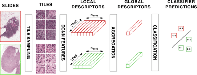 Figure 1 for Classification and Disease Localization in Histopathology Using Only Global Labels: A Weakly-Supervised Approach