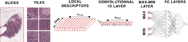 Figure 3 for Classification and Disease Localization in Histopathology Using Only Global Labels: A Weakly-Supervised Approach