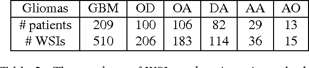 Figure 4 for Patch-based Convolutional Neural Network for Whole Slide Tissue Image Classification