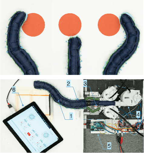 Figure 1 for A Dexterous Tip-extending Robot with Variable-length Shape-locking