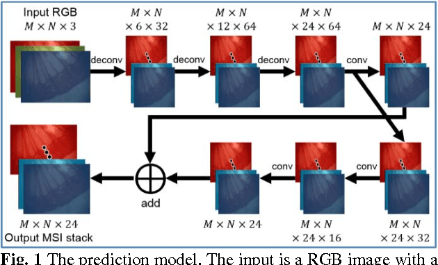 Figure 1 for Recovering Dense Tissue Multispectral Signal from in vivo RGB Images