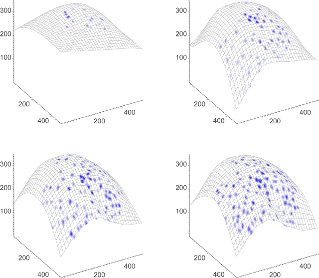 Figure 1 for Optical Flow on Evolving Surfaces with an Application to the Analysis of 4D Microscopy Data