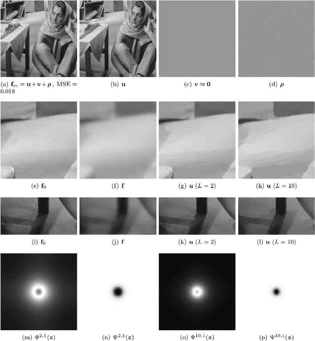 Figure 4 for Directional Mean Curvature for Textured Image Demixing