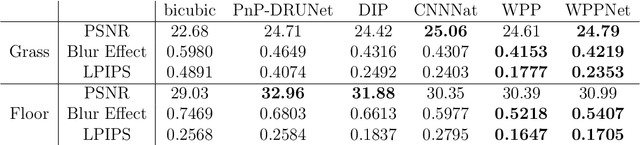 Figure 2 for WPPNets: Unsupervised CNN Training with Wasserstein Patch Priors for Image Superresolution