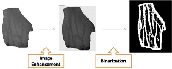Figure 4 for An Efficient Vein Pattern-based Recognition System