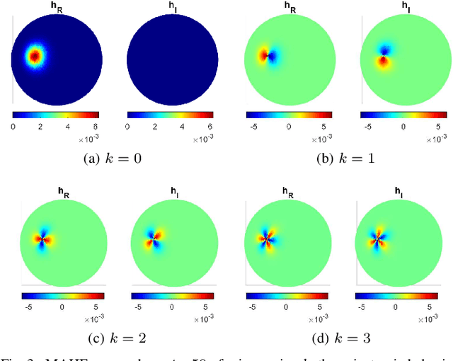 Figure 3 for Multiscale Anisotropic Harmonic Filters on non Euclidean domains