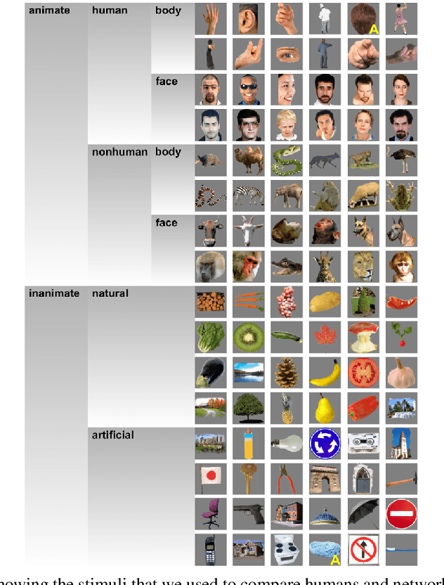 Figure 1 for A Neurobiological Cross-domain Evaluation Metric for Predictive Coding Networks