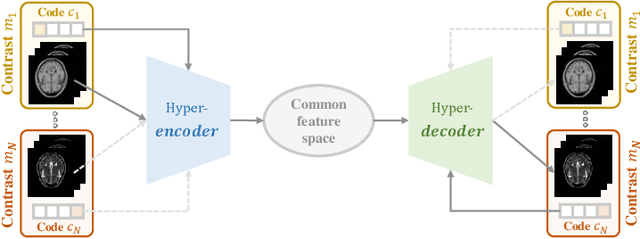 Figure 1 for A Unified Hyper-GAN Model for Unpaired Multi-contrast MR Image Translation