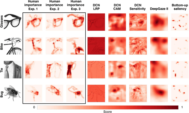 Figure 3 for What are the visual features underlying human versus machine vision?