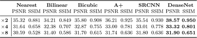 Figure 2 for Can Deep Learning Relax Endomicroscopy Hardware Miniaturization Requirements?