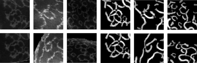 Figure 4 for SealID: Saimaa ringed seal re-identification dataset