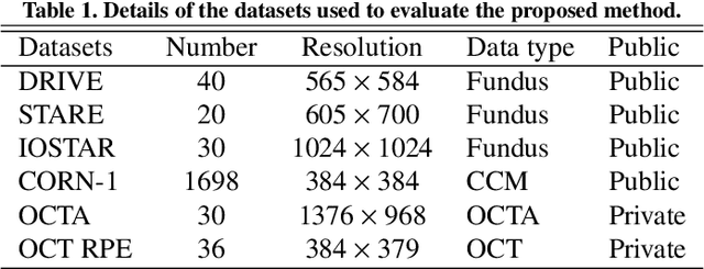 Figure 2 for CS2-Net: Deep Learning Segmentation of Curvilinear Structures in Medical Imaging