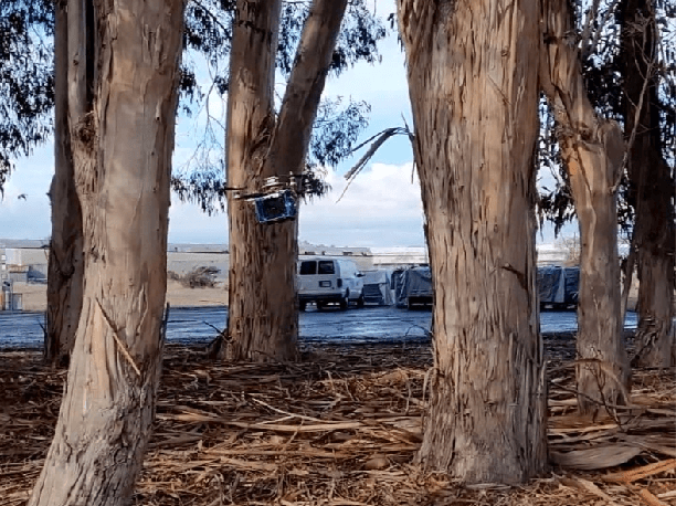 Figure 1 for Autonomous Flight through Cluttered Outdoor Environments Using a Memoryless Planner