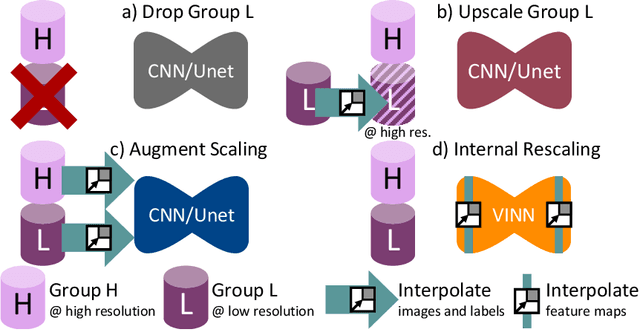 Figure 2 for Identifying and Combating Bias in Segmentation Networks by leveraging multiple resolutions
