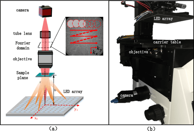Figure 1 for Fourier ptychography multi-parameter neural network with composite physical priori optimization