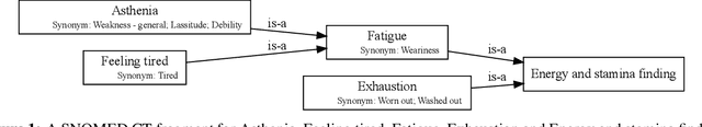 Figure 1 for Semantic Search for Large Scale Clinical Ontologies