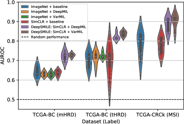 Figure 4 for DeepSMILE: Self-supervised heterogeneity-aware multiple instance learning for DNA damage response defect classification directly from H&E whole-slide images