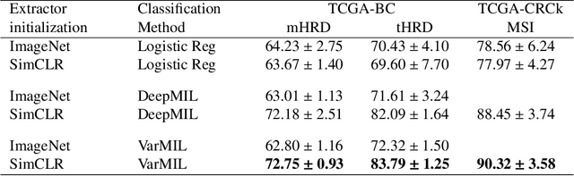Figure 3 for DeepSMILE: Self-supervised heterogeneity-aware multiple instance learning for DNA damage response defect classification directly from H&E whole-slide images