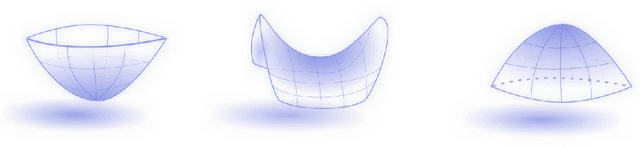 Figure 1 for An Efficient Data Retrieval Parallel Reeb Graph Algorithm