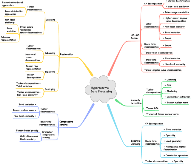 Figure 1 for Tensor Decompositions for Hyperspectral Data Processing in Remote Sensing: A Comprehensive Review
