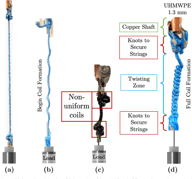 Figure 3 for Overtwisting and Coiling Highly Enhances Strain Generation of Twisted String Actuators