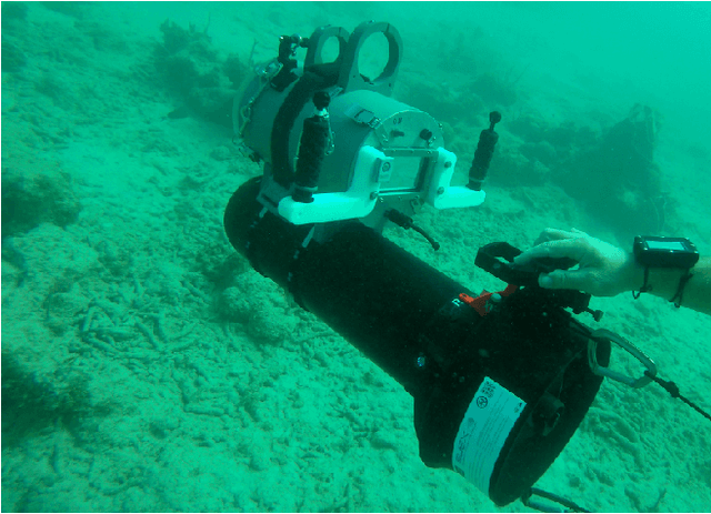 Figure 4 for Experimental Comparison of Open Source Visual-Inertial-Based State Estimation Algorithms in the Underwater Domain